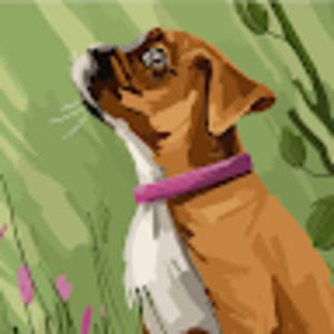 Meet your Posher, Connie